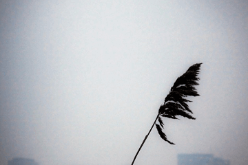 勞動(dòng)節(jié)祝福的話語(yǔ),句句暖人心