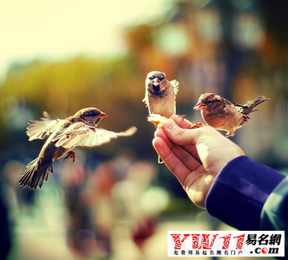 莎士比亞經典語錄人生與愛情
