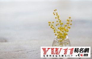 最唯美的兩字網(wǎng)名大全:斷弦ヽ