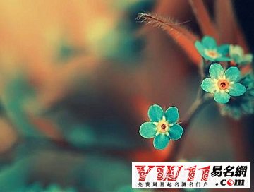 傷感詩意的句子