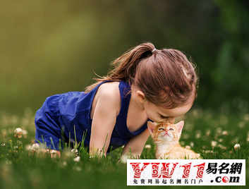 盤(pán)點(diǎn)宀字旁的字有哪些