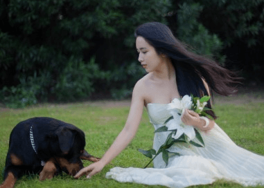 好聽(tīng)的昵稱女生小清新