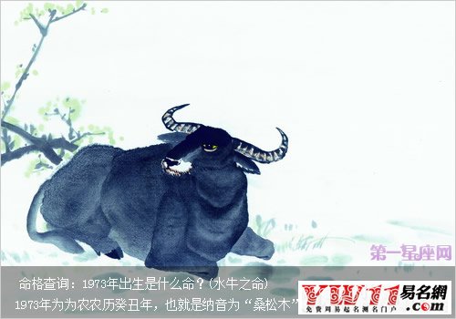 1973年出生是什么命？(水牛之命)