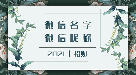 微信名字微信昵稱2021最新招財