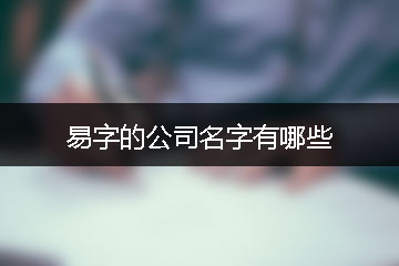 易字的公司名字有哪些