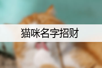 貓咪名字招財