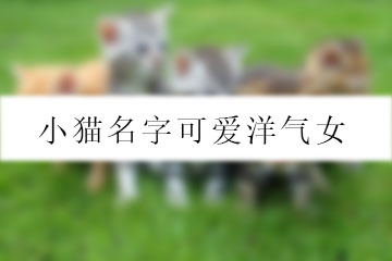 小貓名字可愛(ài)洋氣女