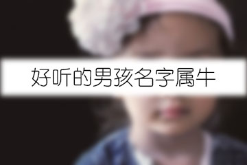 好聽(tīng)的男孩名字屬牛