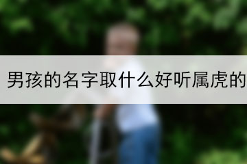 男孩的名字取什么好聽屬虎的