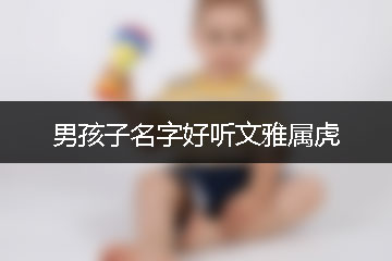 男孩子名字好聽文雅屬虎