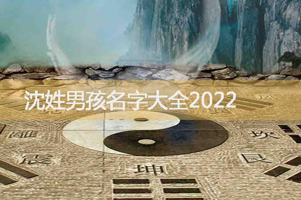 沈姓男孩名字大全2022